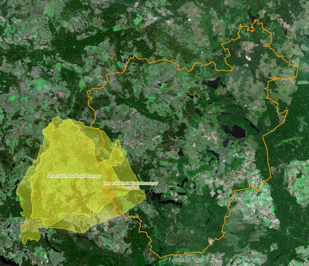Rysunek 21. Drawski Park Krajobrazowy na tle Powiatu Szczecineckiego. Źródło: www.geoserwis.gdos.gov.
