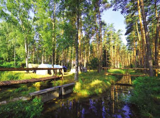 Zadaszona przestrzeń przyległa do budynku stołówka letnia Miejsce ogniskowe oraz grill 43 miejsca