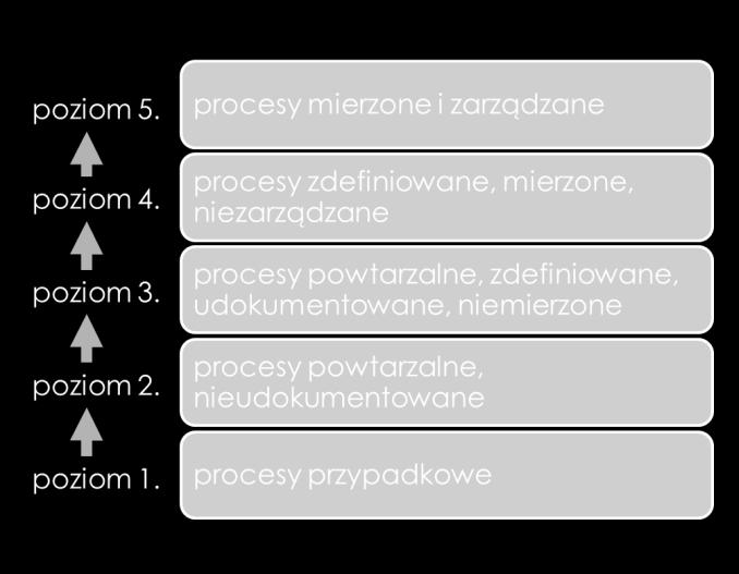 pozostaje inspirowanie czytelników do doskonalenia swoich organizacji poprzez wprowadzanie zasad i kultury zarządzania procesami biznesowymi.