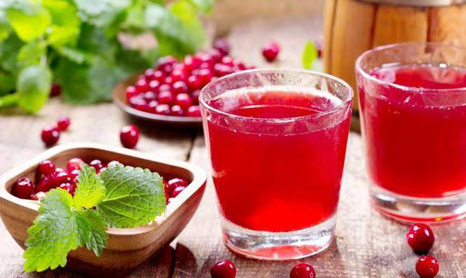 ALOES LIMONKA SŁODKA ŻURAWINA 18 19 Aloes korzystnie wpływa na regulowanie poziomu cholesterolu i cukru, pomaga normować pracę układu trawiennego i łagodzi alergie.