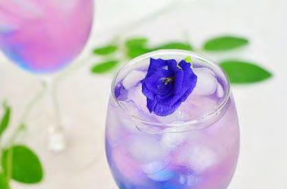 Butterfly Pea Flower /Klitoria ternateńska/ Ta tropikalna roślina ma działanie przeciwstresowe, przeciwzapalne, przeciwbólowe,