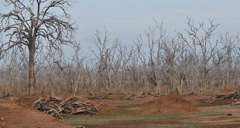 dowiska, programie ograniczania niskiej emisji, planach zagospodarowania przestrzennego czy planach i projektach inwestycyjnych. W gminach szczególnie mocno narażonych na zmiany klimatu, np.