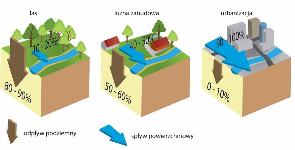 Drzewa zatrzymują 15-40% rocznych opadów, a opady stałe (śnieg, grad, szron) to średnio kilkanaście %