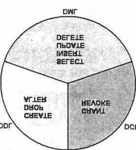 w takich systemach baz danych, jak: DB2, Oracie, Inter-Base, MySQL, dbase, Paradox.