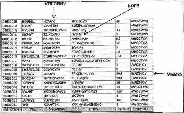 Tabela Tabela składa się z wierszy i kolumn. Wiersze w tabeli są przechowywane w dowolnym porządku. Dla każdego wiersza każda z kolumn posiada jedno pole z wartością.