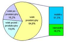 Zmniejszeniu uległa także liczba i odsetek ludności w wieku produkcyjnym z 64,8% w 2002 r. do 63,8% w 2011 r. Zdecydowany wzrost nastąpił w grupie ludności w wieku poprodukcyjnym, o 3,9.p.proc.