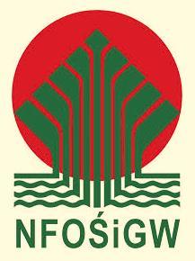 Program priorytetowy: Zmniejszenie uciążliwości wynikających z wydobywania kopalin Lokalizacja źródeł zagrożenia, określenie skali negatywnego oddziaływania wyrobisk mających połączenie z
