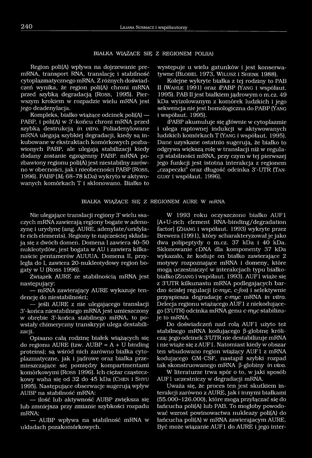 Kompleks, białko wiążące odcinek poli(a) PABP, i poli(a) w 3 -końcu chroni mrna przed szybką destrukcją in vitro.