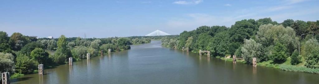 Przyroda jest nieskończoną dziedziną, której środek leży