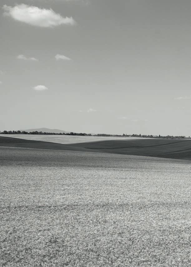 CLAAS Polska Sp. z o.o. ul.