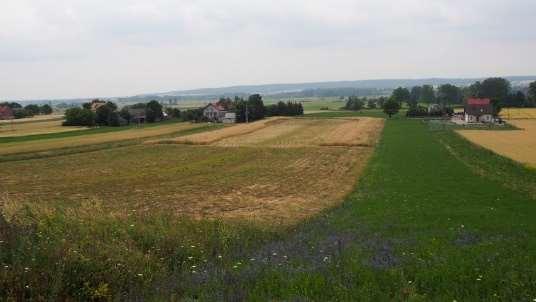 Tradycyjne, dawne oraz