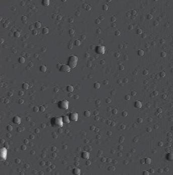 10:0 8:2 6:4 4:6 2:8 0:10 Fig. 3. Surface topography (5 5 µm) of coatings obtained at varied oxygen to nitrogen ratios in reactive atmosphere; AFM Rys. 3. Topografia powierzchni (5 5 µm) powłok otrzymanych przy różnej proporcji tlenu do azotu w atmosferze roboczej; AFM Ra [nm] 20 15 10 5 0 Fig.