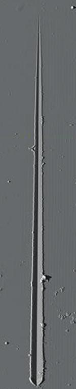 1.6 powłoki 1.4 AlON 5 1.2 1.0 0.8 0.6 0.4 0.2 0.0 Ratio N+O/Al Fig. 6.