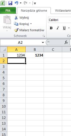 Arkusz kalkulacyjny MS Excel 2010 PL: formatowanie