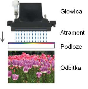 1. Charakterystyka technik drukowania cyfrowego warstwą dielektryczną, a miejsca drukujące na cylindrze zostają naładowane strumieniem jonów emitowanych przez głowicę drukującą, zgodnie z informacją