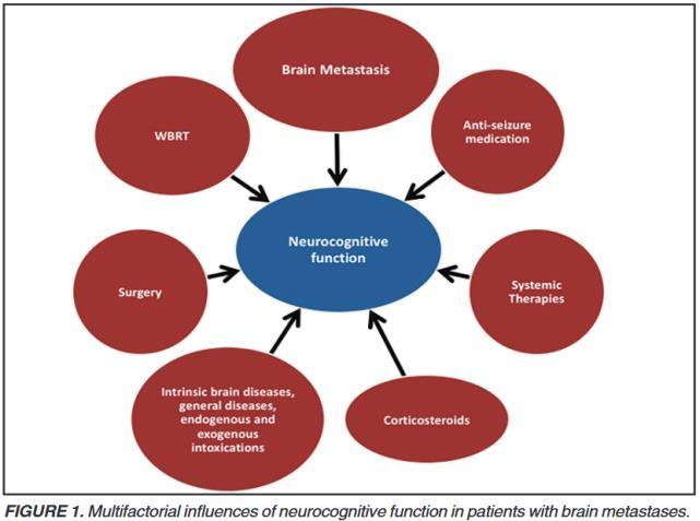 DLACZEGO MALEJE ROLA WBRT? NEUROTOKSYCZNOŚĆ 2.