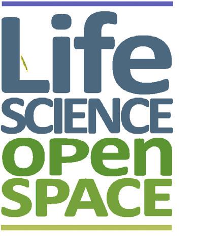 TO BUILD CONNECTEDNESS IN LIFE