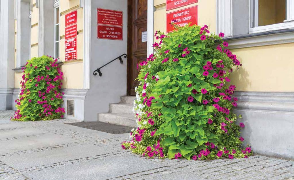POWŁOKA CYNKOWANA Sekret odporności Kaskady na warunki atmosferyczne tkwi w procesie cynkowania, który przechodzi każdy model.