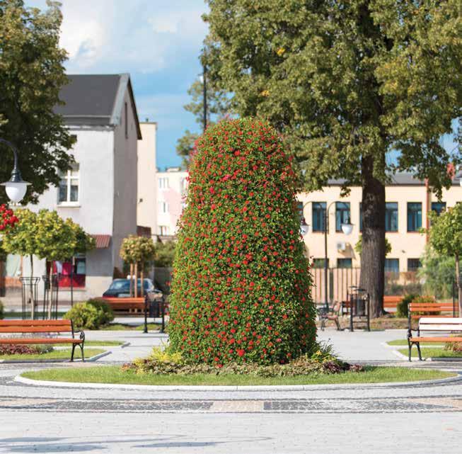 Dzięki kaskadowej konstrukcji H3000, która była specjalnym zamówieniem dla Kruszwicy, Rynek nasz wzbogacił się o następny piękny element dekoracyjny.