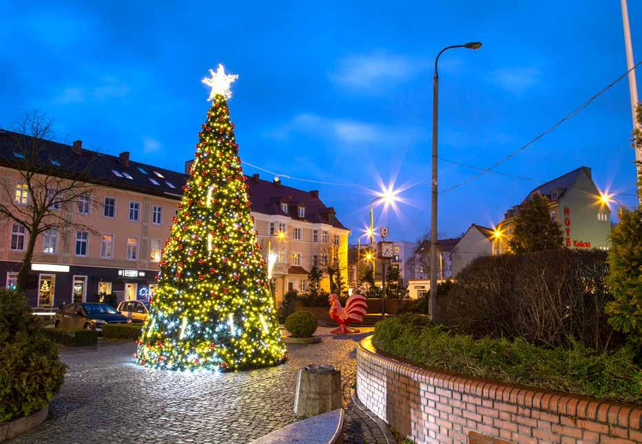 Chcąc przybliżyć świąteczny nastrój swoim mieszkańcom i ozdobić Kaskady, warto skorzystać ze świątecznych nakładek Terra Christmas.