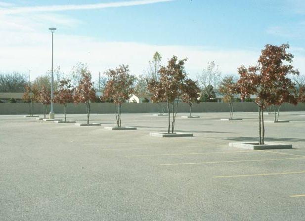 (zadarnienia terenów trudnych - skarpy, nasypy, parkingi, tereny wzdłuż ulic, dachy,
