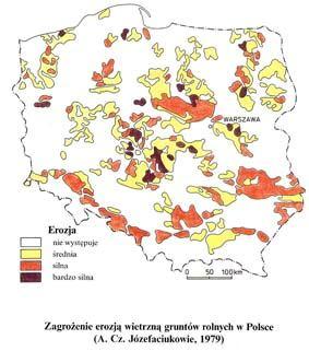 piaski słabogliniaste, gliniaste, gleby żwirowe, rędziny trzeciorzędowe i starszych formacji