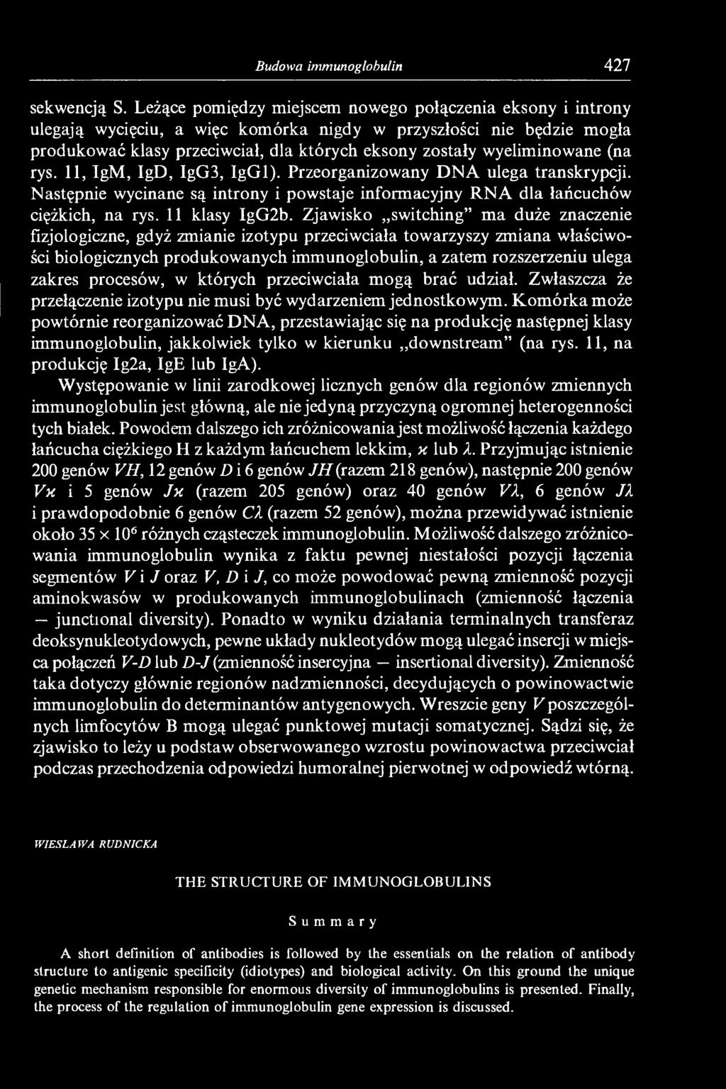 wyeliminowane (na rys. 11, IgM, IgD, IgG3, IgGl). Przeorganizowany DNA ulega transkrypcji. Następnie wycinane są introny i powstaje informacyjny RN A dla łańcuchów ciężkich, na rys. 11 klasy IgG2b.