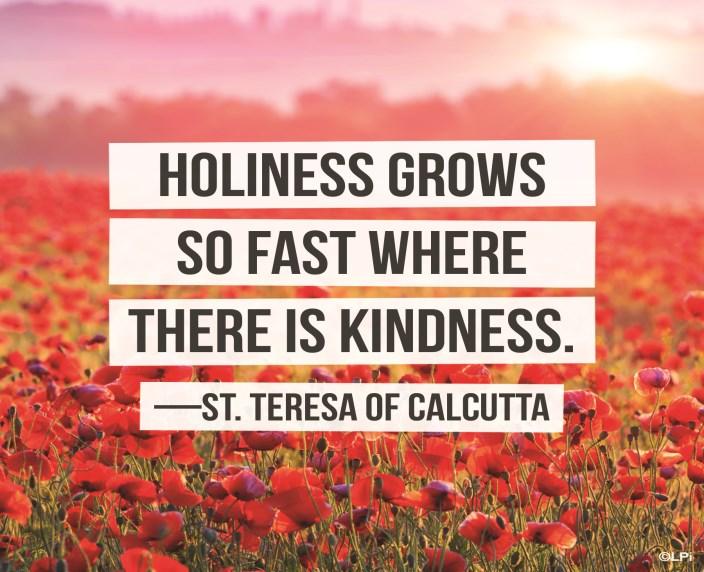 org 708-449-6100 Zespół POLONIA Anna Krysińska 847-529-2555 Give Central On line donation system accessible through our website: www.stthomasbecketmp.