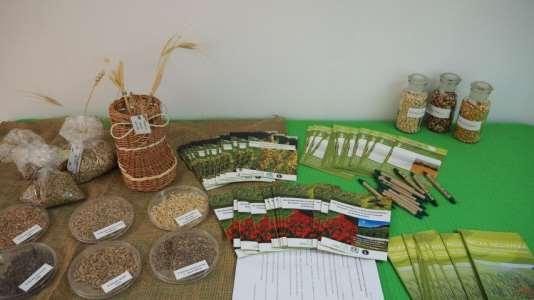 Biodiversity on the Market w