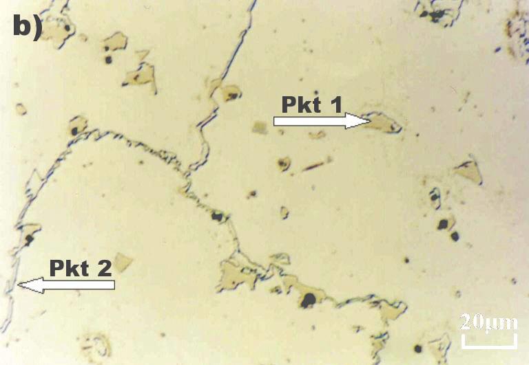 cerium-inoculated alloy (44); etched with CrO 3 + HNO 3 + HCl Rys. 5.