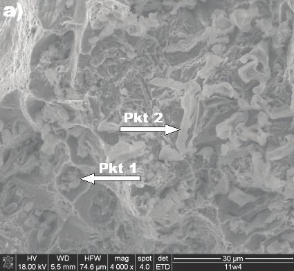 revealed on longitudinal section (b); alloy 11 (non-inoculated) Rys. 9.