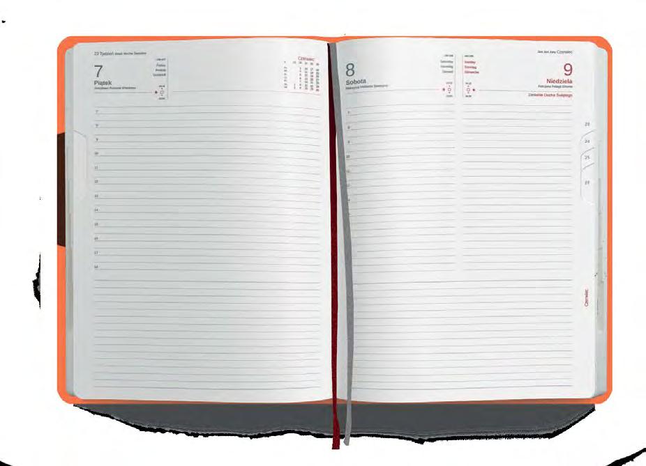 LEADER SYSTEM SYSTEM 272T 165x221 (B5 tygodniowy) LEADER LEADER 160D 203x283 (A4 dzienny) LEADER 163D 143x203 (A5 dzienny) SYSTEM 271T 204x254 (A4