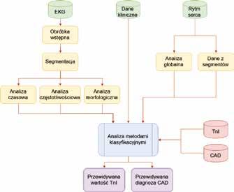 parametry pochodzące z dnia drugiego oraz trzeciego wyrażono jako wartości względne w stosunku do dnia pierwszego (sprzed zawodów).