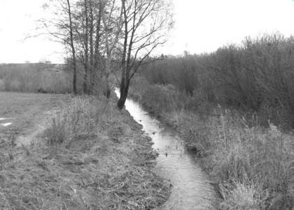 6 Szumigała P., 2009. Miejskie tereny wypoczynku i rekreacji w planowaniu przestrzennym na przykładzie miasta Rys. 4. Strumień Junikowski (fot. P. Szumigała) Fig. 4. The Junikowski stream (photo by P.
