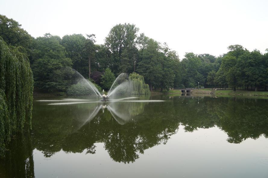 - Park w zespole pałacowym pałacu