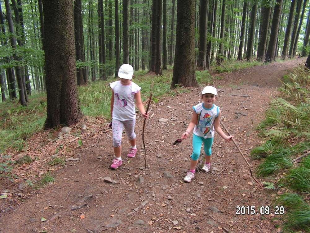 5km do schroniska, możliwość odbicia na
