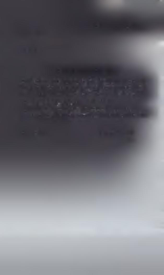 Załącznik nr 2 do zapytania ofertowego Dane oferenta (nazwa, adres) Oświadczenie oferenta o braku powiązań Oferent oświadcza, że nie jest podmiotem powiązanym osobowo lub kapitałowo w stosunku do
