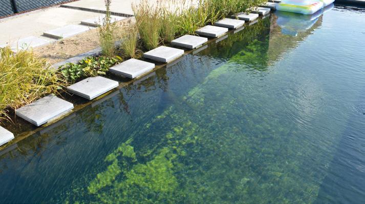 EPDM Firestone Giscolene L Hydroidea to syntetyczna membrana izolacyjna do uszczelniania: zbiorników dekoracyjnych, oczek wodnych, naturalnych stawów i basenów kąpielowych,