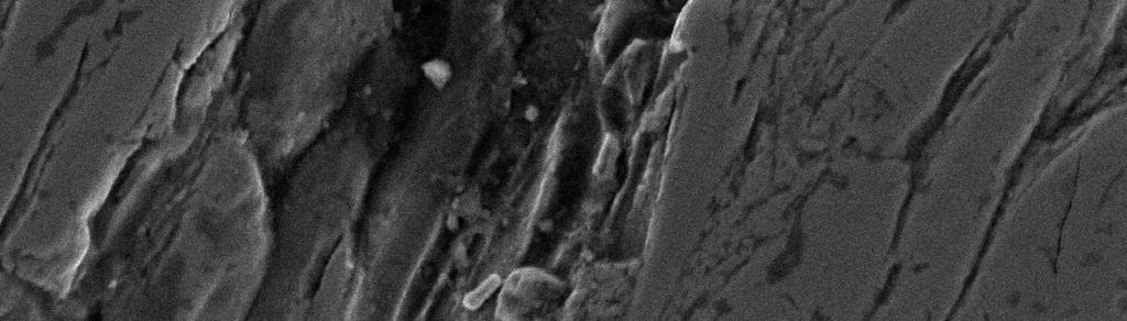 Image of surface of the layer N102