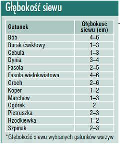 Zadanie 17. W najwcześniejszym wiosennym terminie należy wysiewać nasiona Zadanie 18. dyni i fasoli. pietruszki i grochu. ogórków i szczypiorku. buraka ćwikłowego i sałaty.