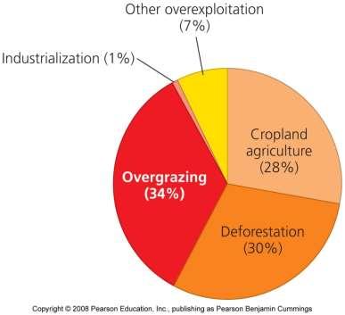 Przyczyny degradacji żyzności gleb uprawnych 1. Spadek zawartości materii organicznej (węgla) 2. Zakwaszenie gleb uprawnych 3. Erozja 4.