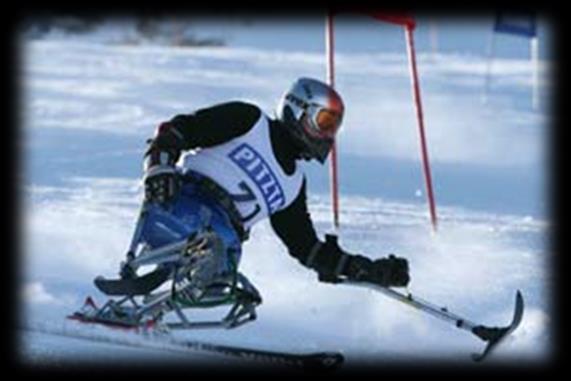 Dyscypliny Zimowych Igrzysk Paraolimpijskich W narciarstwie zjazdowym rozgrywane są następujące konkurencje: slalom, slalom