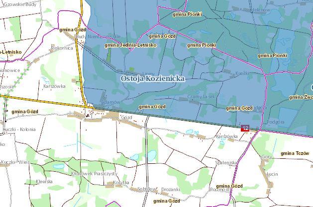 Występuje co najmniej 29 gatunków ptaków z Załącznika I Dyrektywy Ptasiej, 7 gatunków z Polskiej Czerwonej Księgi (PCK). Wykazano na tym terenie ponad 200 gatunków ptaków, w tym 147 lęgowych.