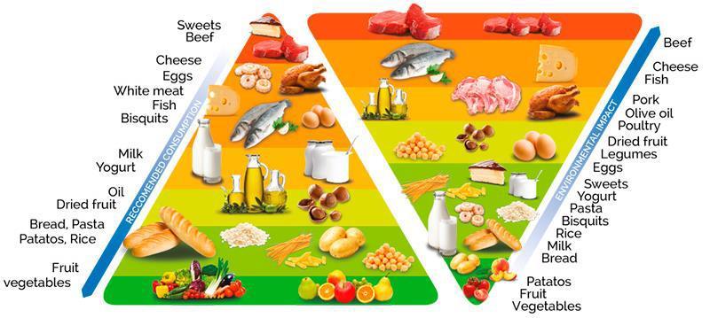 Piramida środowiskowa Piramida żywieniowa Zgodnie z piramidą żywieniowo-środowiskową Barilla Centre for Food & Nutrition 3 mleko i produkty mleczne odgrywają centralną rolę w zdrowych i
