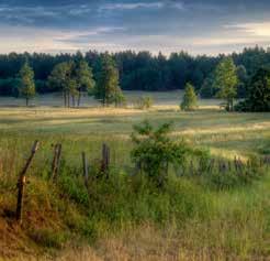 SCENARIUSZ