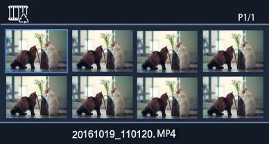 File type (recycle / emergency) Page number File name File preview File operation context menu Press the MENU button when single video is selected and you will be able to