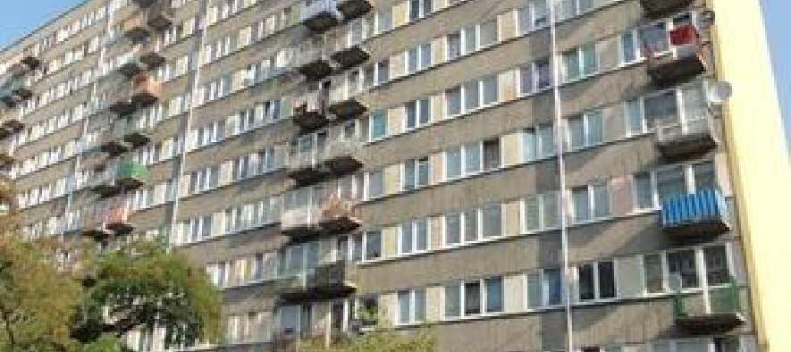 W sąsiedztwie znajdują się liczne