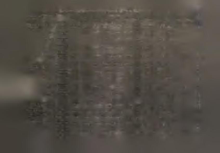 .."A2NE0S2E OAf:E W GOSPODARCE USPOŁECZNONEJ WSOŁUG.ESęCY /cd./ WYSZCZEGÓL Jednostka NENE mary / 'Mesące ł V V V V V tys.ton j tys.