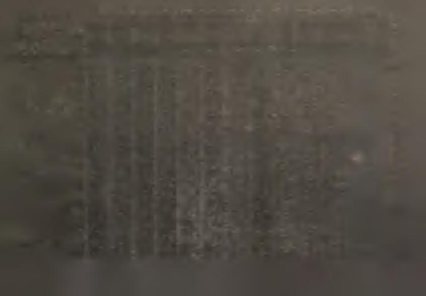 V. R E LACJE W Y D A O N O S C O W O - P Ł A C O W E P R Z E D S Ę B O R S T W P R ZEMYSŁOWYCH B U D O W ^ O - K O N T A Ż C. W C H /cd.