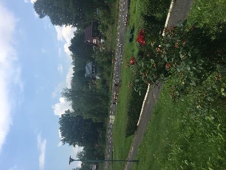3 km od Starego Czarnowa w miejscowości Glinna, na trasie Gryfino - Stare Czarnowo, w sąsiedztwie Ogrodu Dendrologicznego znajduje się Punkt Informacji Przyrodniczo Leśnej oraz Cmentarz Żołnierzy